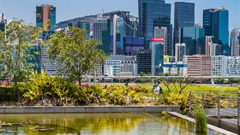 The water garden features ponds and aquatic plants surrounded by lush planting and helps cool the rooftop garden spaces.